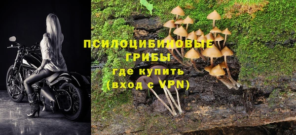 прущие крисы Верея
