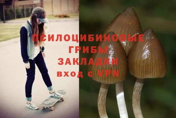 прущие крисы Верея